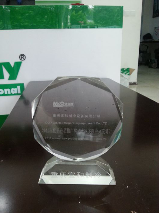 2010年度新產(chǎn)品推廣獎(jiǎng)（水冷多聯(lián)中央空調(diào)）